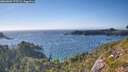 ./images/calvert/foggy-cove/20260803/foggy-cove20260803_175501M.jpg