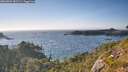 ./images/calvert/foggy-cove/20260803/foggy-cove20260803_182501M.jpg