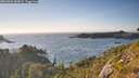./images/calvert/foggy-cove/20260803/foggy-cove20260803_184501M.jpg
