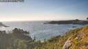 ./images/calvert/foggy-cove/20260803/foggy-cove20260803_190501M.jpg