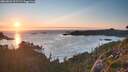 ./images/calvert/foggy-cove/20260803/foggy-cove20260803_205501M.jpg