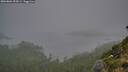 ./images/calvert/foggy-cove/20260804/foggy-cove20260804_054501M.jpg