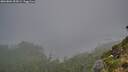 ./images/calvert/foggy-cove/20260804/foggy-cove20260804_055002M.jpg