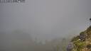 ./images/calvert/foggy-cove/20260804/foggy-cove20260804_060001M.jpg