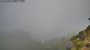 ./images/calvert/foggy-cove/20260804/foggy-cove20260804_060501M.jpg