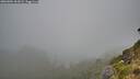 ./images/calvert/foggy-cove/20260804/foggy-cove20260804_061001M.jpg