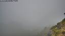 ./images/calvert/foggy-cove/20260804/foggy-cove20260804_061501M.jpg
