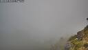 ./images/calvert/foggy-cove/20260804/foggy-cove20260804_062501M.jpg