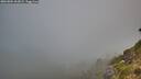 ./images/calvert/foggy-cove/20260804/foggy-cove20260804_063001M.jpg