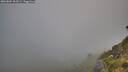./images/calvert/foggy-cove/20260804/foggy-cove20260804_063501M.jpg