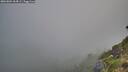 ./images/calvert/foggy-cove/20260804/foggy-cove20260804_064501M.jpg
