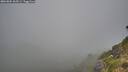 ./images/calvert/foggy-cove/20260804/foggy-cove20260804_065501M.jpg