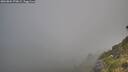 ./images/calvert/foggy-cove/20260804/foggy-cove20260804_070002M.jpg