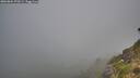 ./images/calvert/foggy-cove/20260804/foggy-cove20260804_070501M.jpg