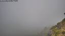 ./images/calvert/foggy-cove/20260804/foggy-cove20260804_071001M.jpg