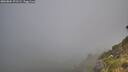 ./images/calvert/foggy-cove/20260804/foggy-cove20260804_071501M.jpg