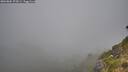 ./images/calvert/foggy-cove/20260804/foggy-cove20260804_072001M.jpg