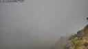 ./images/calvert/foggy-cove/20260804/foggy-cove20260804_072501M.jpg