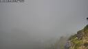 ./images/calvert/foggy-cove/20260804/foggy-cove20260804_073002M.jpg