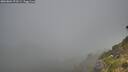 ./images/calvert/foggy-cove/20260804/foggy-cove20260804_073501M.jpg