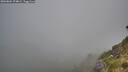 ./images/calvert/foggy-cove/20260804/foggy-cove20260804_074001M.jpg