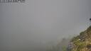 ./images/calvert/foggy-cove/20260804/foggy-cove20260804_074501M.jpg