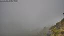 ./images/calvert/foggy-cove/20260804/foggy-cove20260804_075002M.jpg