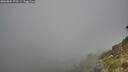 ./images/calvert/foggy-cove/20260804/foggy-cove20260804_075501M.jpg