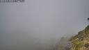./images/calvert/foggy-cove/20260804/foggy-cove20260804_081001M.jpg