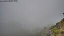 ./images/calvert/foggy-cove/20260804/foggy-cove20260804_081502M.jpg