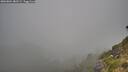 ./images/calvert/foggy-cove/20260804/foggy-cove20260804_082501M.jpg