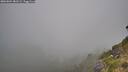 ./images/calvert/foggy-cove/20260804/foggy-cove20260804_083501M.jpg