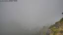 ./images/calvert/foggy-cove/20260804/foggy-cove20260804_084001M.jpg