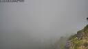 ./images/calvert/foggy-cove/20260804/foggy-cove20260804_084501M.jpg