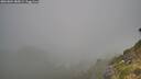 ./images/calvert/foggy-cove/20260804/foggy-cove20260804_085001M.jpg