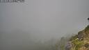 ./images/calvert/foggy-cove/20260804/foggy-cove20260804_085501M.jpg