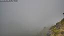 ./images/calvert/foggy-cove/20260804/foggy-cove20260804_090001M.jpg