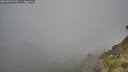 ./images/calvert/foggy-cove/20260804/foggy-cove20260804_090501M.jpg
