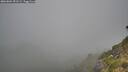 ./images/calvert/foggy-cove/20260804/foggy-cove20260804_091501M.jpg