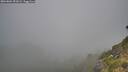 ./images/calvert/foggy-cove/20260804/foggy-cove20260804_092002M.jpg