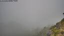 ./images/calvert/foggy-cove/20260804/foggy-cove20260804_092501M.jpg