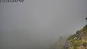 ./images/calvert/foggy-cove/20260804/foggy-cove20260804_093001M.jpg