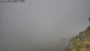 ./images/calvert/foggy-cove/20260804/foggy-cove20260804_093501M.jpg
