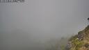 ./images/calvert/foggy-cove/20260804/foggy-cove20260804_094002M.jpg