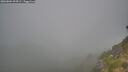 ./images/calvert/foggy-cove/20260804/foggy-cove20260804_094502M.jpg