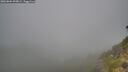 ./images/calvert/foggy-cove/20260804/foggy-cove20260804_095001M.jpg