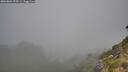 ./images/calvert/foggy-cove/20260804/foggy-cove20260804_095501M.jpg