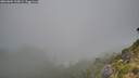./images/calvert/foggy-cove/20260804/foggy-cove20260804_100001M.jpg