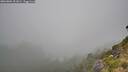 ./images/calvert/foggy-cove/20260804/foggy-cove20260804_101001M.jpg