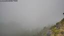 ./images/calvert/foggy-cove/20260804/foggy-cove20260804_101501M.jpg